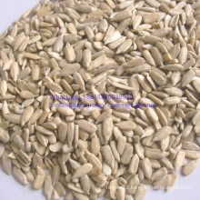 Confectionary Grade Food Grade Sunflower Seed Kernel